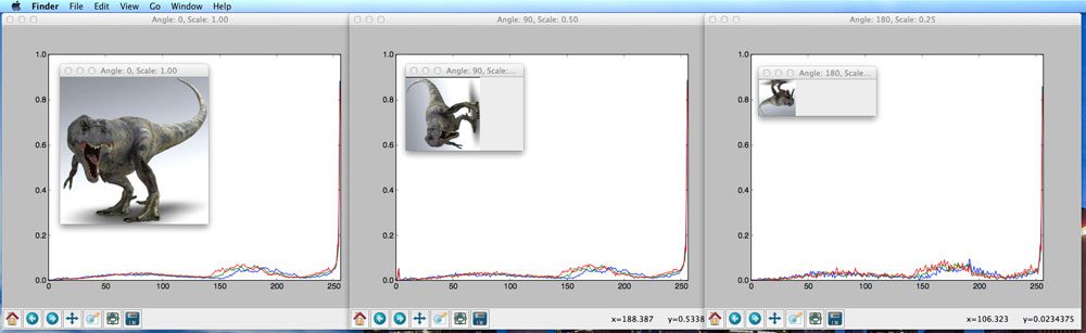 Figure 1: No matter how we rotate and scale the T-Rex image, we still have the same histogram.