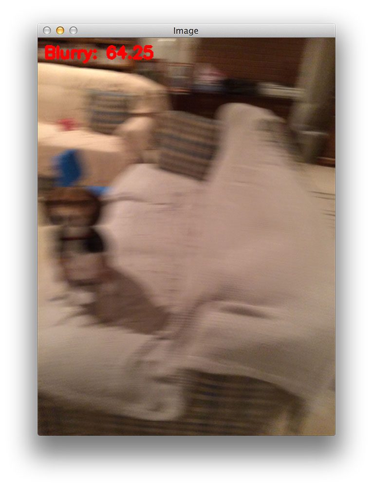 Figure 5: Performing blur detection with OpenCV. This image is marked as "blurry".
