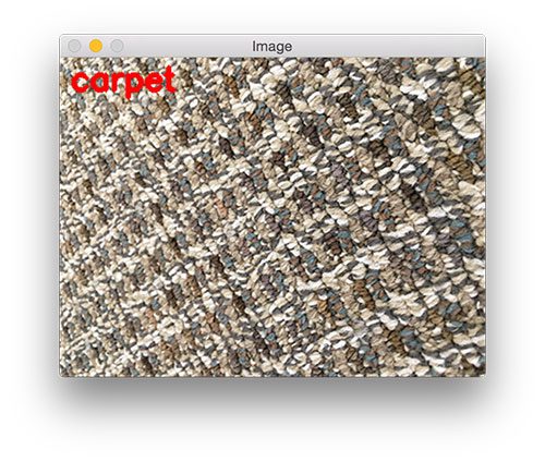 Figure 12: We are also able to recognize the carpet pattern.