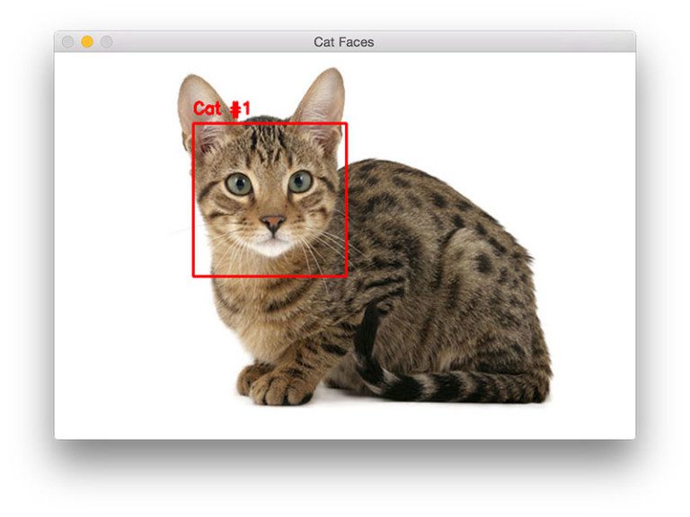 Detecting cats in images with OpenCV PyImageSearch