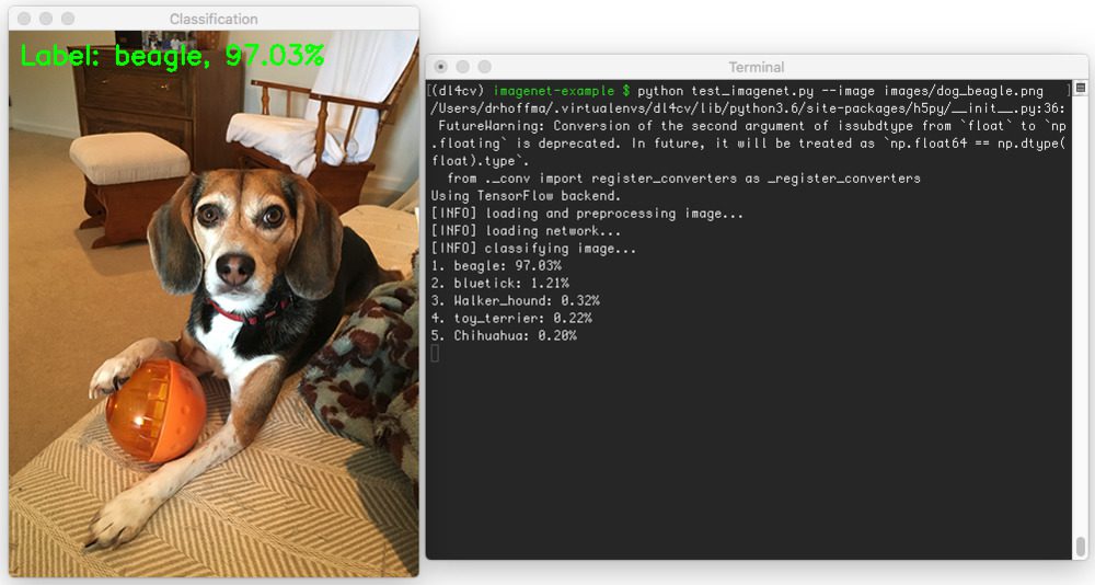 ImageNet classification with Python and Keras - PyImageSearch