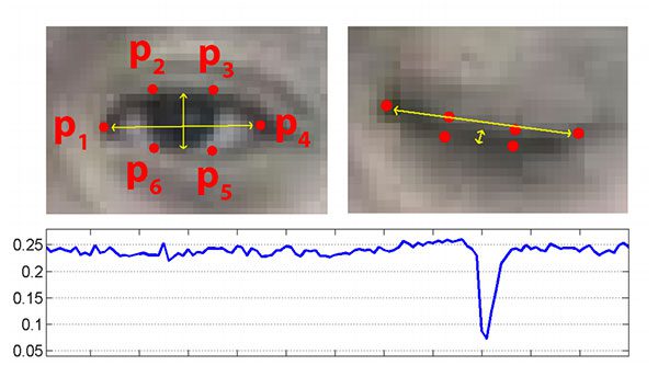 How Fast is the Average Blink? The Human Eyeblink can last up to