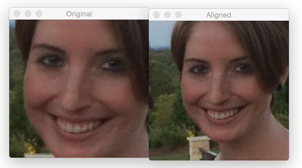 Face Alignment with OpenCV and Python - PyImageSearch