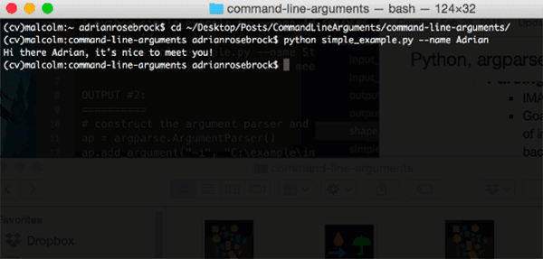 write a program script for command line on mac