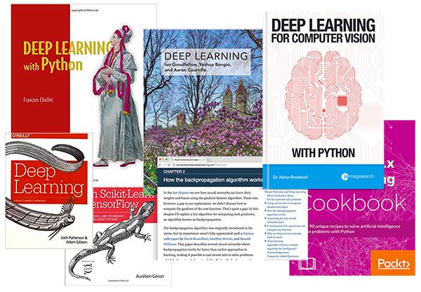 Deep learning with python hot sale torrent