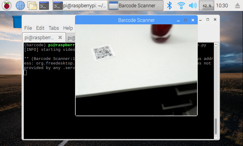 python qr code reader webcam