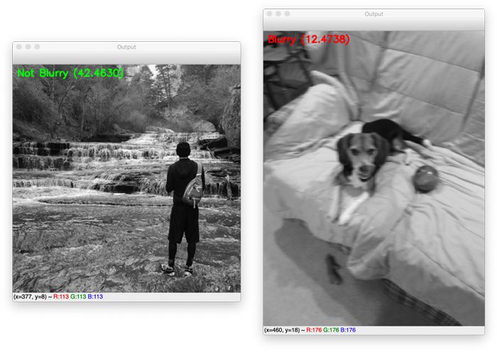 Opencv Fast Fourier Transform Fft For Blur Detection In Images And Video Streams Pyimagesearch